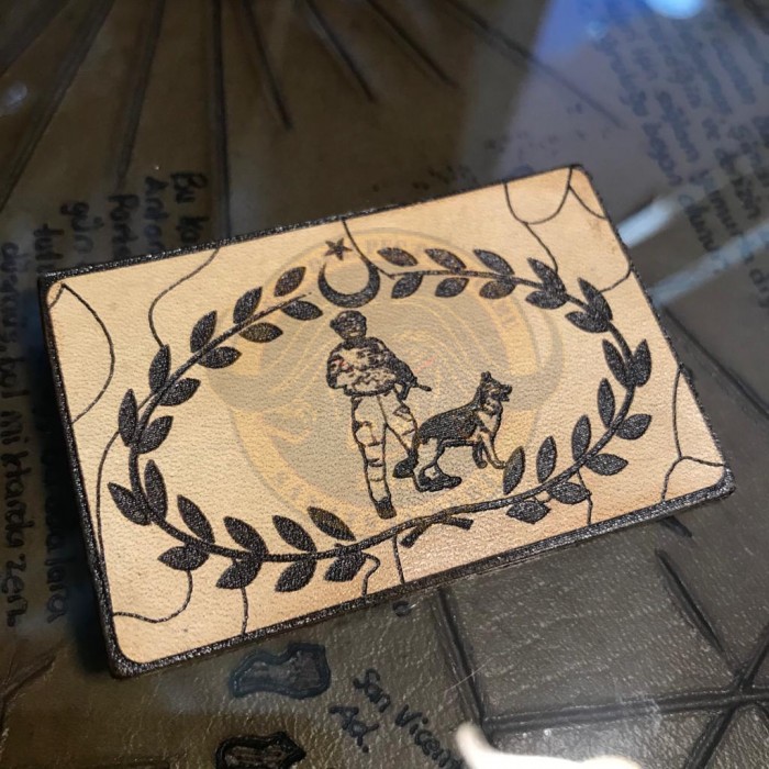 BROVE KÖPEK EĞİTİM